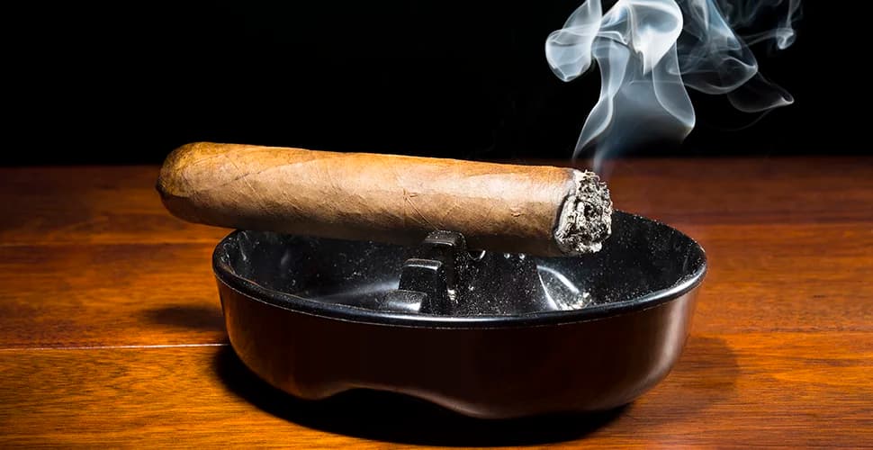 Tauchen Sie ein in die Welt der edlen Zigarren mit C-Cigars