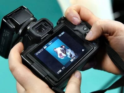Starte jetzt deine Fotoreise mit dem Fotokurs Hamburg