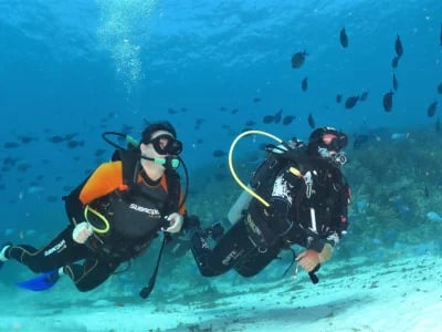 Tauchschule Playa del Carmen: Tauchen lernen im Paradies