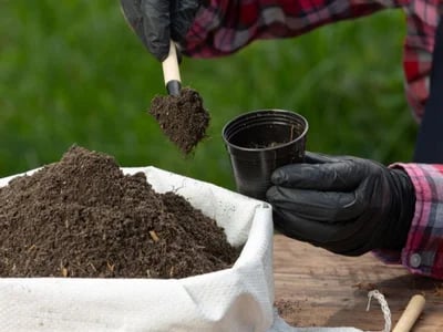 Warum kein Bauprojekt ohne Bodengutachten starten sollte
