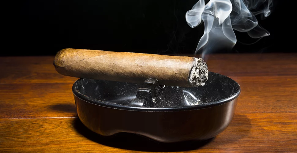 Tauchen Sie ein in die Welt der edlen Zigarren mit C-Cigars