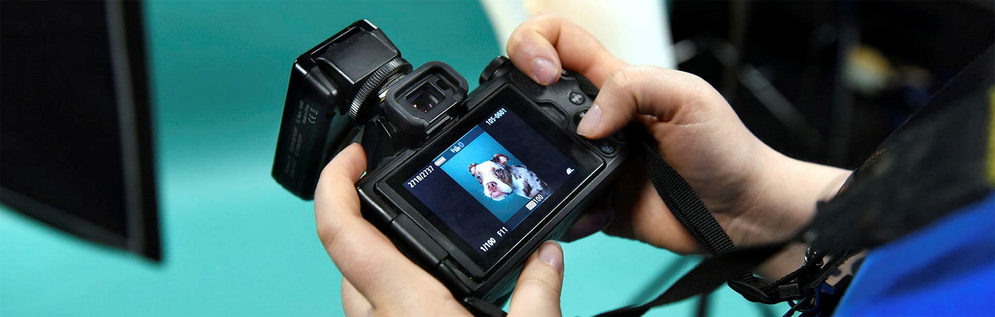 Starte jetzt deine Fotoreise mit dem Fotokurs Hamburg