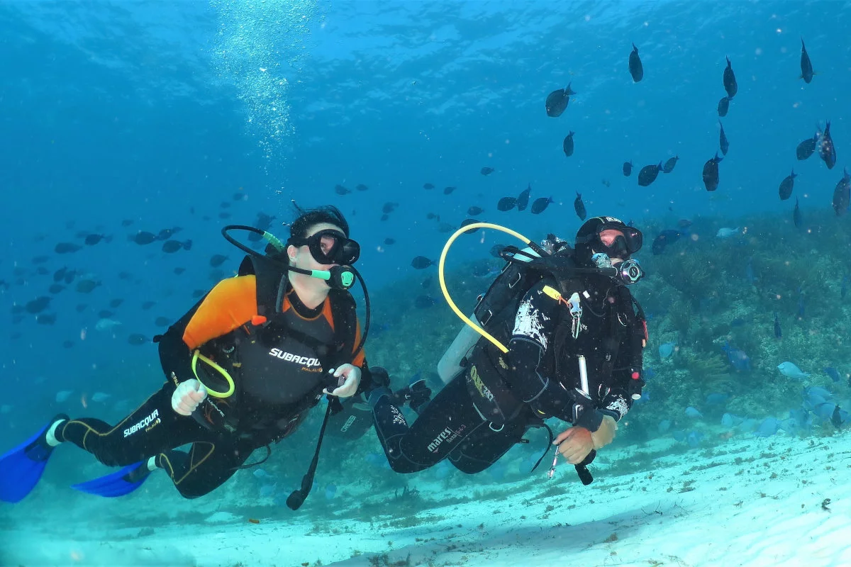 Tauchschule Playa del Carmen: Tauchen lernen im Paradies