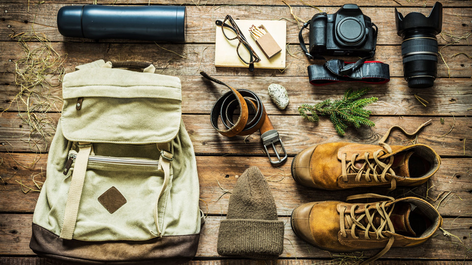Dschungelabenteuer Deluxe: Unsere besten Reise-Tipps für unvergessliche Erlebnisse