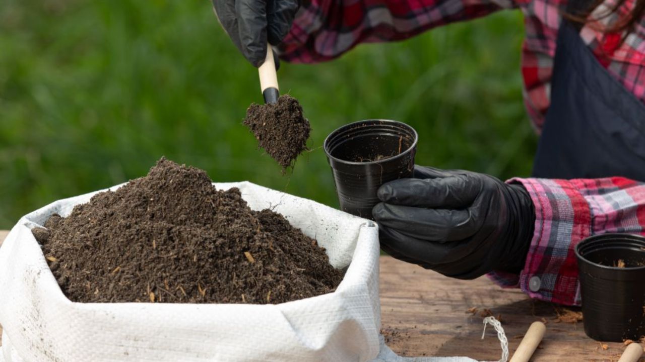 Warum kein Bauprojekt ohne Bodengutachten starten sollte